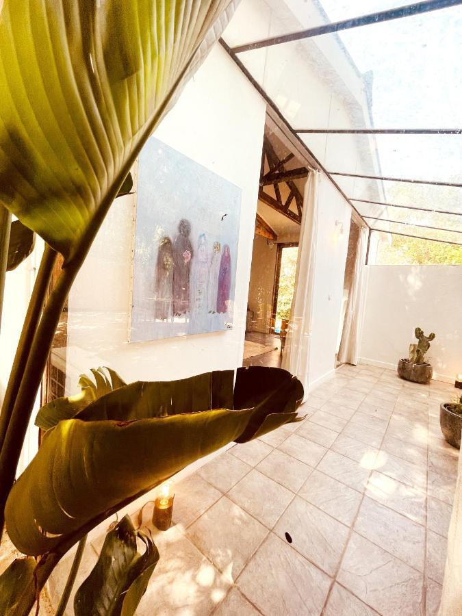 Le Patio, Jardin Privatif, Tennis Νιμ Εξωτερικό φωτογραφία